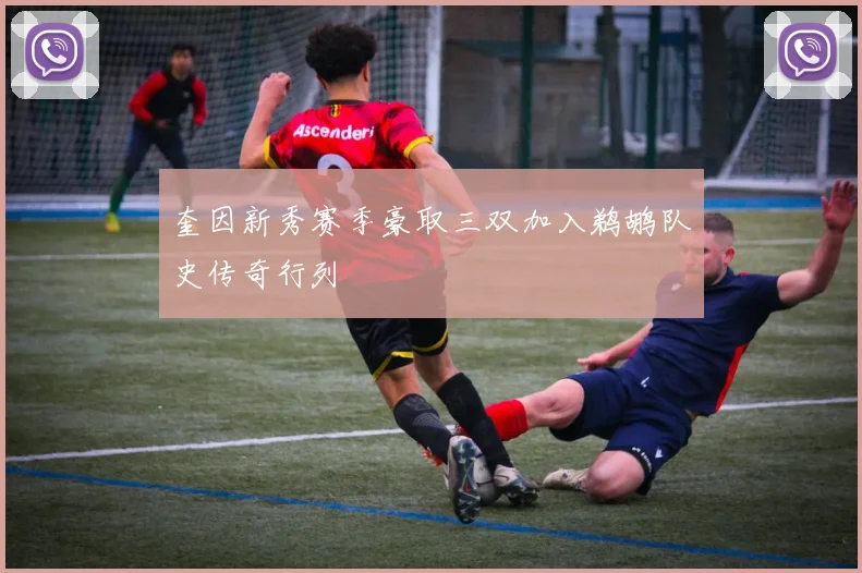 奎因新秀赛季豪取三双加入鹈鹕队史传奇行列