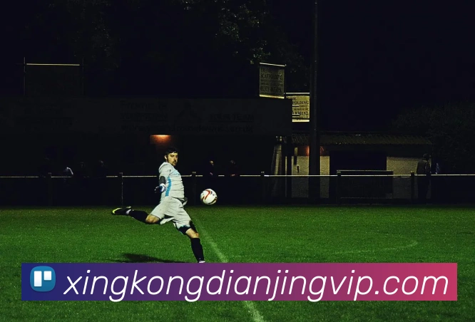 星空电竞平台生态图